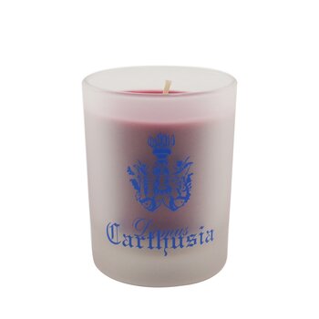 Cartuxa Scented Candle - Frutto di Bacco
